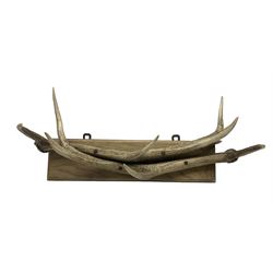 Antlers / Horns: Red Deer Stag antler mounted coat rack, 8 points, late 20th century, L71cm 