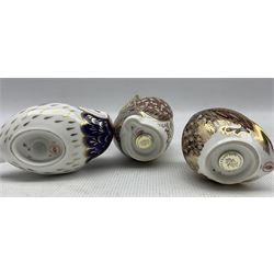 Three Royal Crown Derby paperweights comprising 'Little Owl' dated 1998, 'Barn Owl', 1995 and another Owl, 1993 (3)