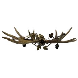 Antlers / Horns: European moose antler chandelier (Alces Alces), pair of lights with floral gilded decoration width 98.5cm, drop 60cm