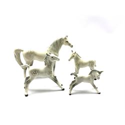 Beswick gloss horse models comprising Grey Arab 'Xayal' and three foals