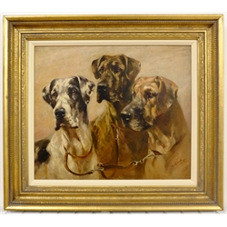 Mabel Gear (British 1898-1987): Trio of Dogs, oil on panel signed 39cm x 45cm 
DDS - Artist's resale rights may apply to this lot 
