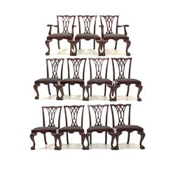 Set of eleven (9+2) Chippendale style mahogany dining chairs, leaf carved and shaped crest rail over pierced splat, drop in upholstered seat pads, raised on leaf carved cabriole supports W60cm