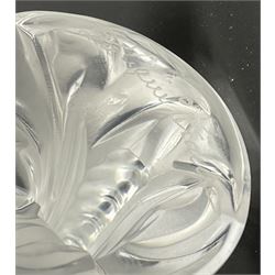 Lalique frosted glass model of a Dragonfly, engraved Lalique France to base, H9cm