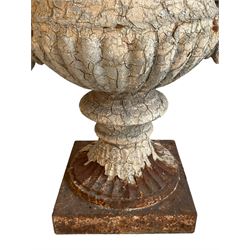 19th century cast iron Campana-shaped garden urn, the body decorated with putti and scrolls, gadroon cast underbelly with two heavy loop handles, on circular and fluted foot and square base, in thick crackled paint finish 