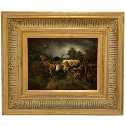 English School (19/20th century): Cows on the Loose, oil on panel unsigned 29cm x 39cm