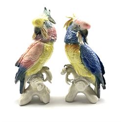 Karl Ens figure of a cockatoo in pink, yellow and blue H36cm and another slightly smaller H34cm