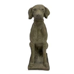 Pair of cast stone garden seated hunting dogs, possibly pointers, facing forward