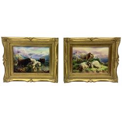 Pair of rectangular porcelain panels by John Bailey, hand painted with Highland Cattle and Sheep against a mountainous landscape, set within gilt frames, each signed John Bailey, 22cm x 30cm (2)