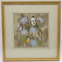 Nigel Wykes (British 1906-1991): Butterflies on Flowers, gouache signed and dated 1983, 23cm x 23cm