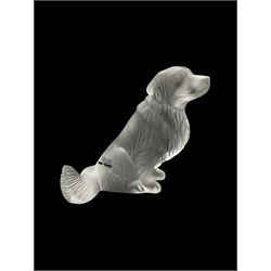 Lalique frosted glass model of a Golden Retriever, engraved Lalique France to base, H12cm