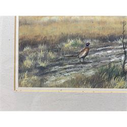 Alan M Hunt (British 1947-): Pheasant in Farmer's Field, watercolour and gouache signed 18cm x 27cm