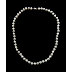 Single strand grey cultured pearl necklace, with 9ct white gold clasp stamped 375, with insurance valuation
