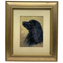 Henry Percy (British 19th/20th Century): Portrait of a Spaniel, oil on board signed 20cm x 15cm