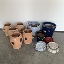  Five terracotta strawberry pot planters, (W27cm Max) six other pots of varying designs, (W32cm Max) and potting trays,   