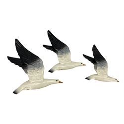 Set of three Beswick graduated seagull wall plaques 922-1, 922-2 and 922-3, tallest 30cm