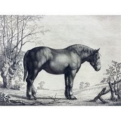 William Evan Charles Morgan (British 1903-1979): 'Champion Suffolk Filly Vivandiere', etching signed titled and dated 1931, 25cm x 35cm
Provenance: Gifted by the artist in 1973