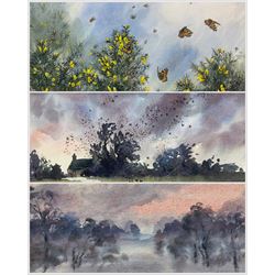 Evangeline Dickson (British 1922-1992): 'The Day of the Butterflies' 'Starlings Coming to Roost' and Morning Mist, three watercolours signed, two titled verso 28cm x 50cm