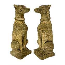 Pair of composite stone garden ornaments in the form of seated lurchers 