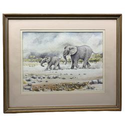 Hans Ulrich (Uli) Aschenborn (South African 1947): Elephants, watercolour signed 34cm x 46cm 