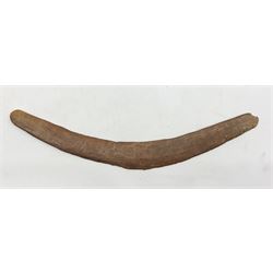 19th Century Australian Aboriginal boomerang L63cm