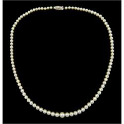 Mikimoto graduated single strand cultured pearl necklace, with a pearl set clasp, stamped 10K
