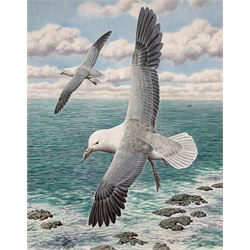 Simon Turvey (British 1957-): Seagulls in Flight, watercolour signed 41cm x 32cm