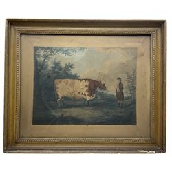 John Whessell (British c.1760-1840) after John Boultbee (British 1753-1812): 'The Durham Ox', stipple engraving with hand colouring 45cm x 60cm