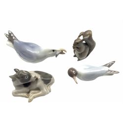 Four Bing & Grondahl porcelain figures to include a Seagull no. 1808, Squirrel no. 984, Gull no. 1810 and Calf no. 2168 (4)