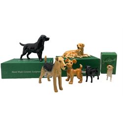Collection of Beswick animals including 'Scamp' 1058, Airedale terrier 962, large black Labrador 1548, small black Labrador 1956, boxed, Golden Retriever, 3270 boxed and Royal Doulton Labrador and pup, boxed (6)
