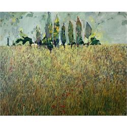 P Kent (British contemporary): Meadow with Poppies and Cypress Trees, oil on board signed 47cm x 57cm