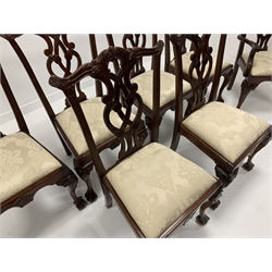 Set eight (6+2) Chippendale style mahogany dining chairs with cream damask drop in seats, raised on leaf carved cabriole supports with ball and claw feet, W60cm