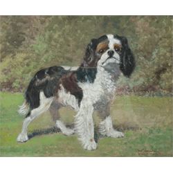 M Stanger Pritchard (British exh.1905-1918): Portrait of a King Charles Spaniel, oil on board signed 28cm x 34cm