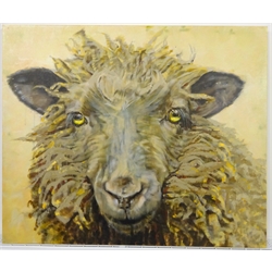 Sarah Williams (British 1961-): Brown Sheep, oil on canvas signed verso 75cm x 90cm 
Notes: Sarah graduated from Norwich School of Art and Design in 1984 with a first-class BA Hons in Fine Art and, having won the Stowell's Trophy, was awarded an unconditional place to study MA Painting at the Royal Academy. She comes from a family of creative talent - her father, Reg Williams, was a member of the York Four. During her three years at Norwich Art School, she exhibited regularly in the school gallery and Norwich Castle and visited Switzerland, exhibiting and working with Kurt Rupe. More recently, she has exhibited in galleries around England and has had her own businesses in Interior Design, Architectural Design, Furniture Design and Jewellery. Sarah has recently returned to painting full-time and, having used a multitude of mediums in her creative work, now confesses she is an oil-paint addict. It is 