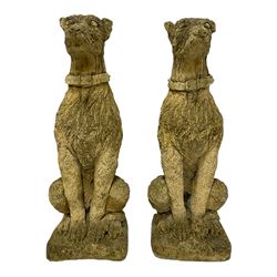 Pair of composite stone garden ornaments in the form of seated lurchers 