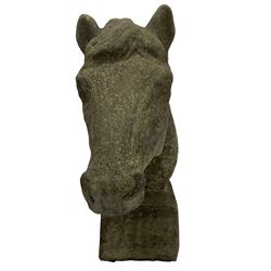 Cast stone garden statue in the form of a horse head, facing forward with lucious mane
