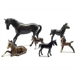Beswick model of Black Beauty No. 2466, Black Beauty foal No. 2536,  black gloss foal No. 1817 and three Beswick brown foals (6)