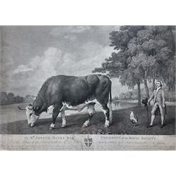 George Townley Stubbs (British 1748-1815?  after George Stubbs (British 1724-1806): 'The Lincolnshire Ox', stipple engraving pub. 1791, extensively inscribed along the lower edge 34cm x 47cm