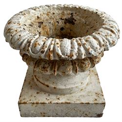 Small 19th century garden urn, egg and dart moulded rim and body, on square base