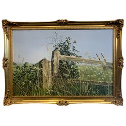 Michael Wood (British 20th century): Meadow Landscape, oil on canvas signed  60cm x 90cm 