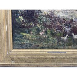 William Charles Rushton (British 1860-1921): Landscape with Ducks, oil on canvas signed 36cm x 29cm