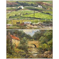 H Ibbotson (British 20th Century): Beck Hole - Whitby, oil on board signed 32cm x 44cm (unframed); English School (20th Century): Welsh Landscape, oil on board signed 'Mellor', indistinctly titled and dated '85 verso 38cm x 48cm (2)