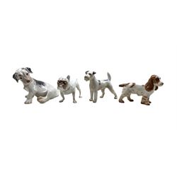 Four Bing & Grondahl porcelain dogs comprising Sealyham Terrier no. 2027, Wire-haired terrier no. 2072, Cockerspaniel no. 2172 and Bulldog no. 1676 (4)
