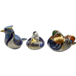 Three Royal Crown Derby paperweights comprising 'Mandarin Duck' dated 1997, 'Blue Jay', 1995 and another Duck, 1996 (3)