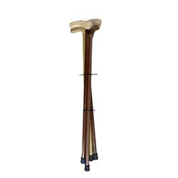 Walking stick with horses head handle and four others