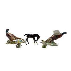 Beswick model of a Pheasant flying upwards No849, another of a Pheasant No1226 second version, brown foal with head down and two small Beswick birds Goldcrest and Blue Tit (5)