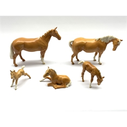 Beswick Huntsmans Horse in palomino gloss No. 1484, a palomino mare No. 1812 and three palomino foals