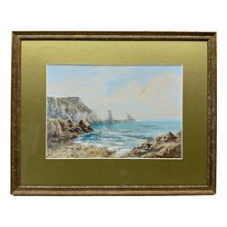 William Henry Dyer (British fl.1890-1930): Coastal Scene with Seagulls, watercolour signed 21cm x 31cm