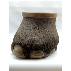Taxidermy: Elephant foot stool/ storage box with fitted wooden lift off cover, H38cm x W50cm with CITES A10 (non transferable) licence no. 595725/01