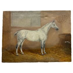 William Henderson of Whitby (British 1844-1904): 'Twilight' - Portrait of a Dapple Grey Hunter Horse in Stable, oil on canvas signed and titled 46cm x 61cm (unframed)