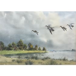 Robert W Milliken (British 1920-2014): Ducks in Flight over Lakeland, watercolour signed 47cm x 67cm